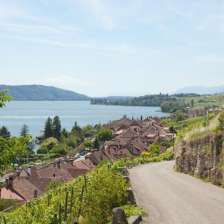 Alpes Et Lac Ла Ньоввил Екстериор снимка