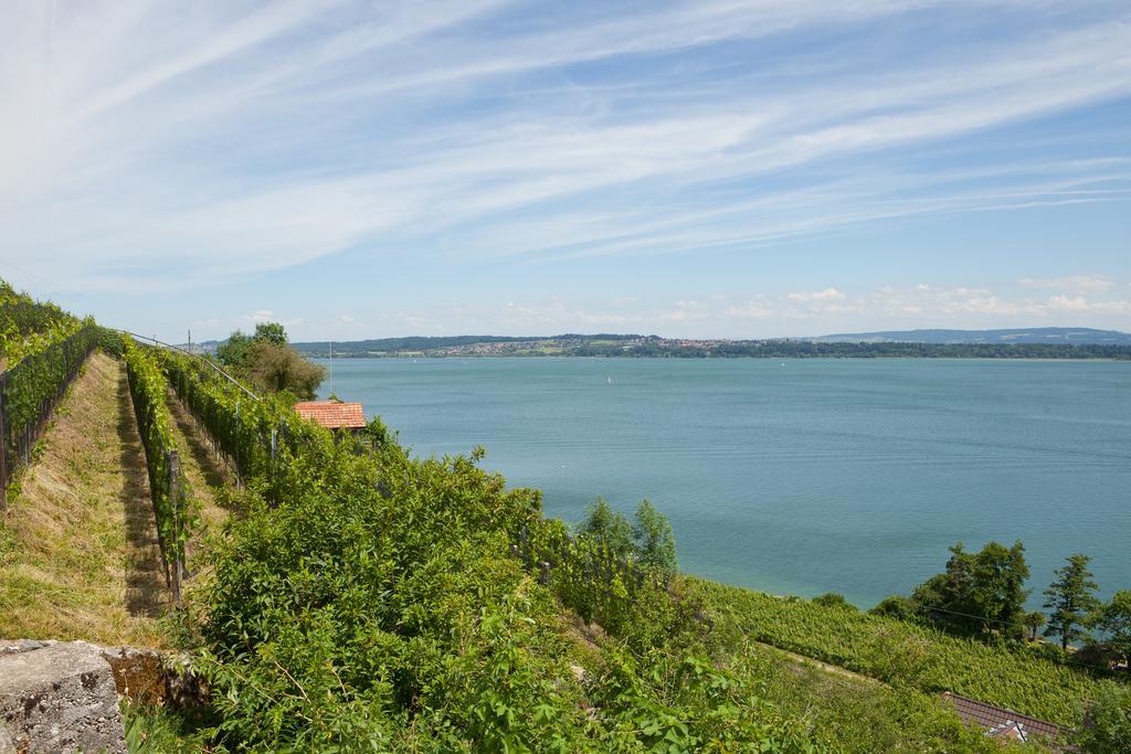 Alpes Et Lac Ла Ньоввил Екстериор снимка